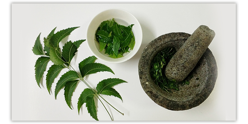 What Are The Benefits Of Using Neem Juice To Treat Erectile Dysfunction?